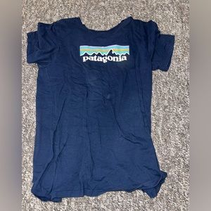 Blue Patagonia T Shirt